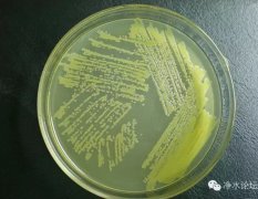 �����������J�R����̿�����ڸ��Q�ܱ�Ҫ